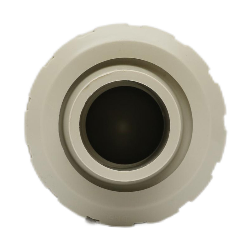 PPH H61F-10S Hot Melt Welding Check Valve DN50 GB Standard