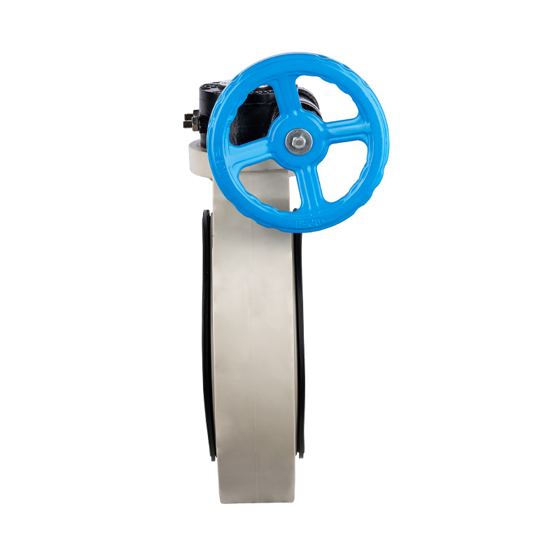 PPH D371X-10S Worm-Gear Butterfly Valve DN40-1000 1-1/2'-30' ANSI Standard