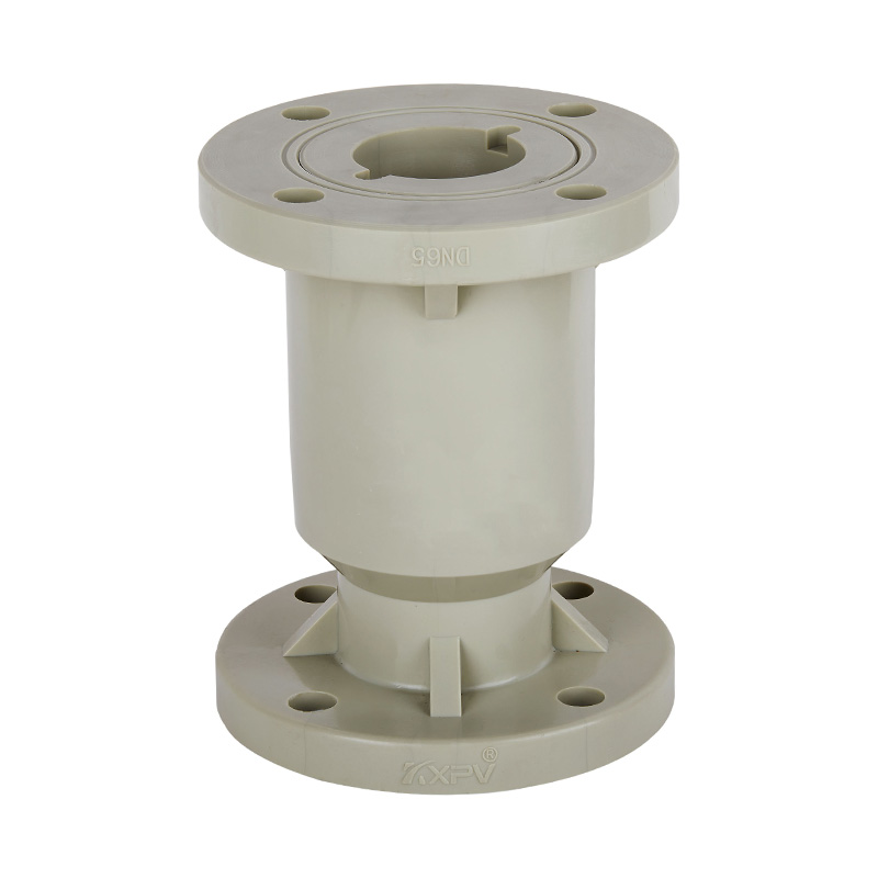 PPH H41F-10S Vertical Check Valve DN15-300 GB Standard