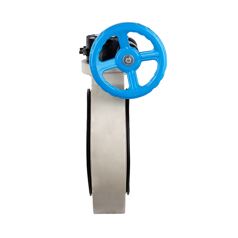 PPH D371X-10S Worm-Gear Butterfly Valve DN40-1000 40A-1000A JIS Standard