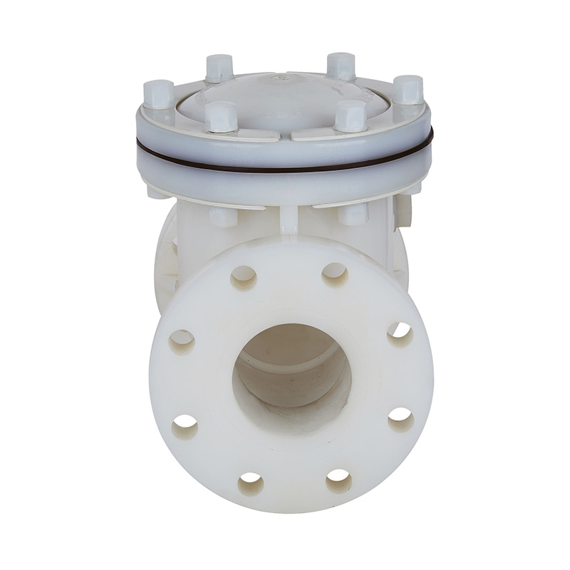 PVDF H44F-10F Swing Type Check Valve DN15-300 GB Standard