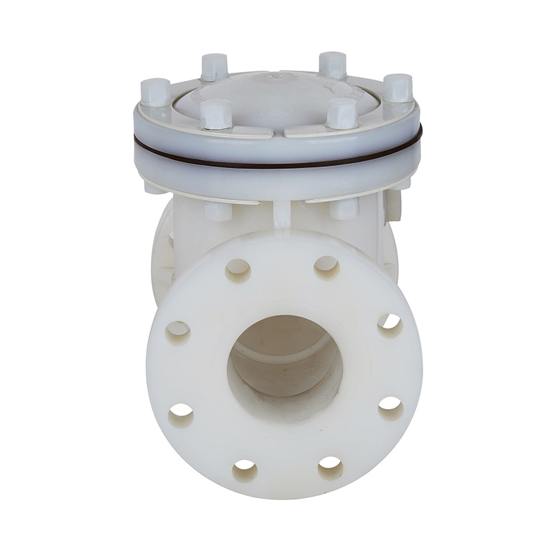 PVDF H44F-10F Swing Type Check Valve DN15-300 1/2'-12' ANSI Standard