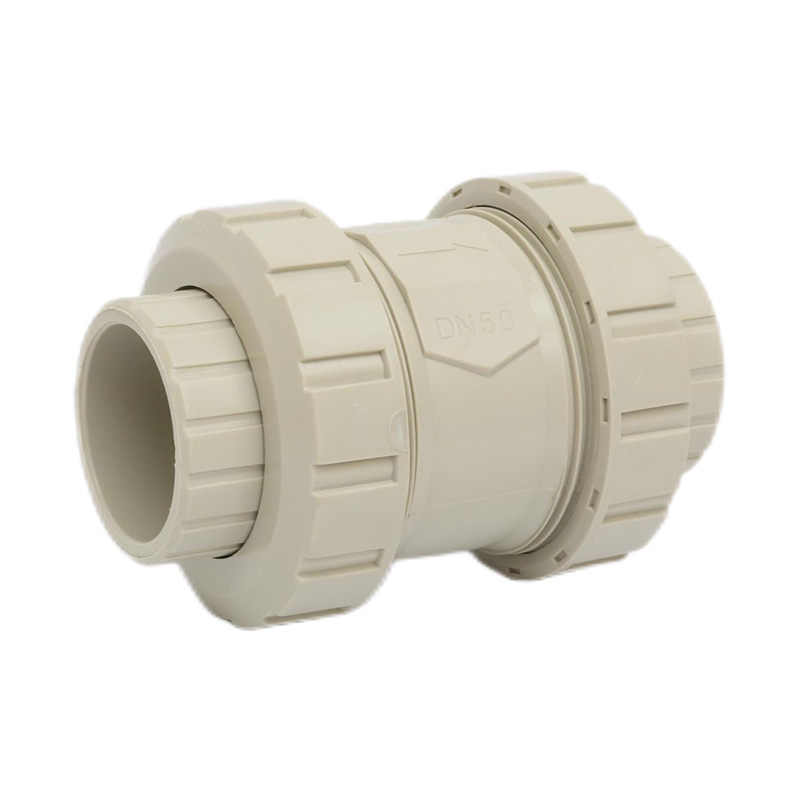 PPH H61F-10S Socket Fusion Check Valve DN50 GB Standard
