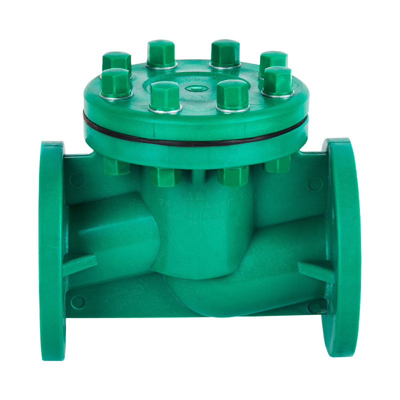 FRPP H41F-10S Life Type Check Valve DN40-80 GB Standard