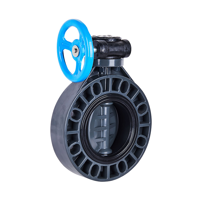 FRPP D371X-10S Worm-Gear Butterfly Valve DN40-1000 40A-1000A JIS Standard