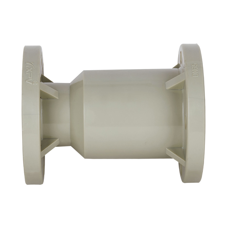 PPH H41F-10S Vertical Check Valve DN15-300 GB Standard