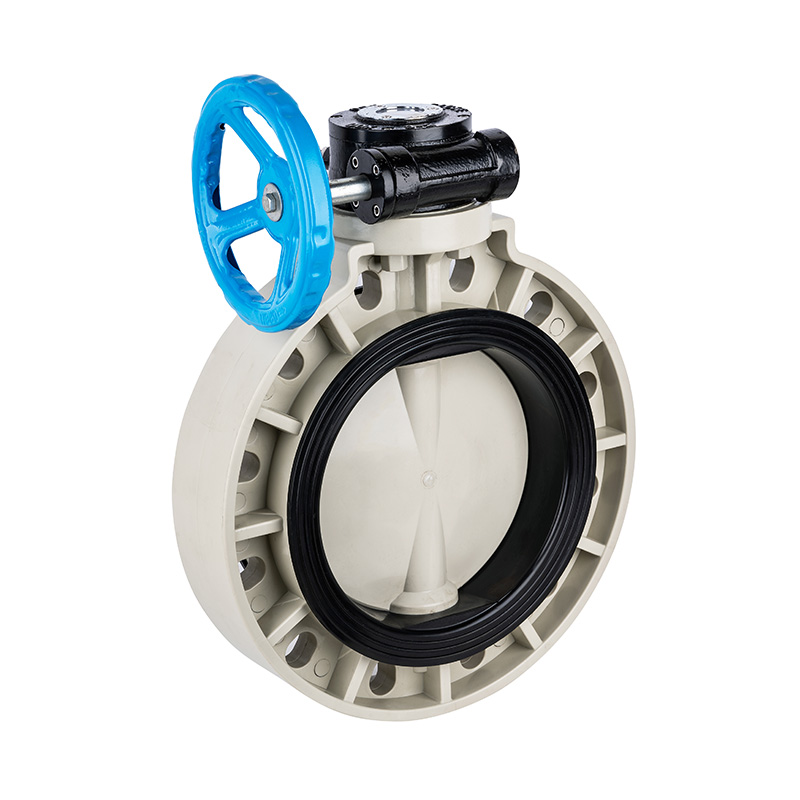 PPH D371X-10S Worm-Gear Butterfly Valve DN40-1000 40A-1000A JIS Standard