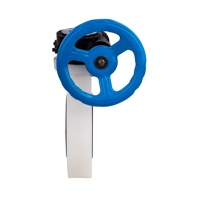 PVDF D371X-10F Worm-Gear Butterfly Valve DN40-1000 40A-1000A JIS Standard