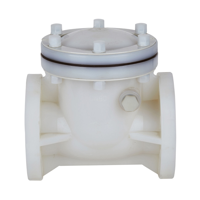 PVDF H44F-10F Swing Type Check Valve DN15-300 GB Standard