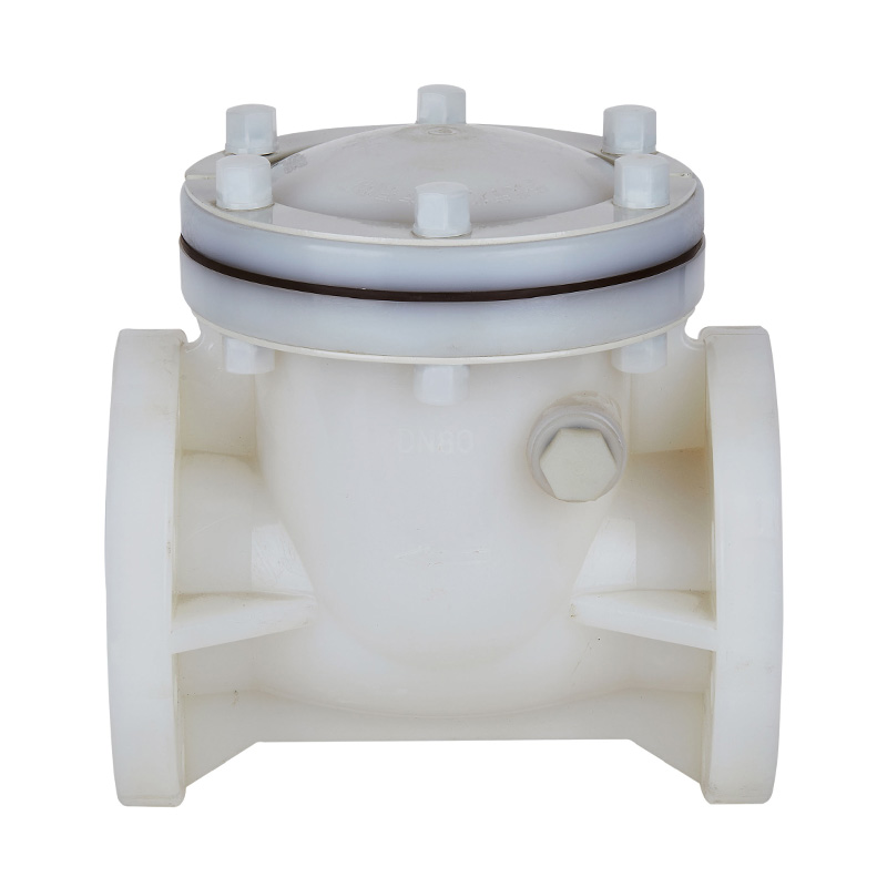 PVDF H44F-10F Swing Type Check Valve DN15-300 1/2'-12' ANSI Standard