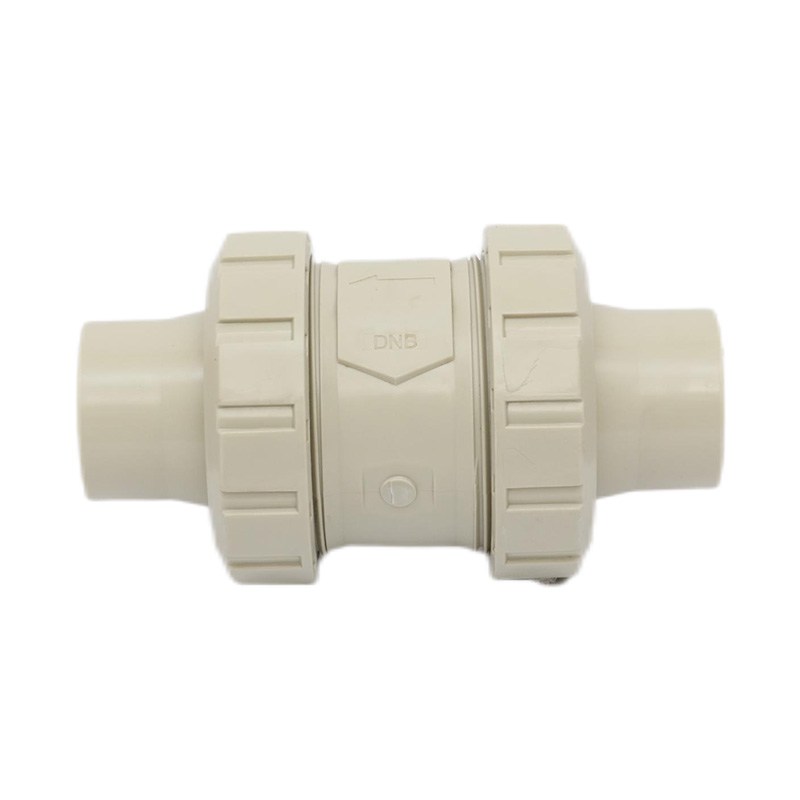 PPH H61F-10S Hot Melt Welding Check Valve DN50 GB Standard