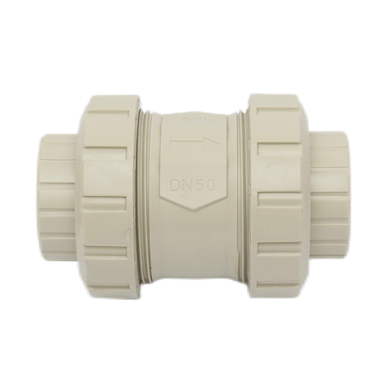PPH H61F-10S Socket Fusion Check Valve DN50 GB Standard