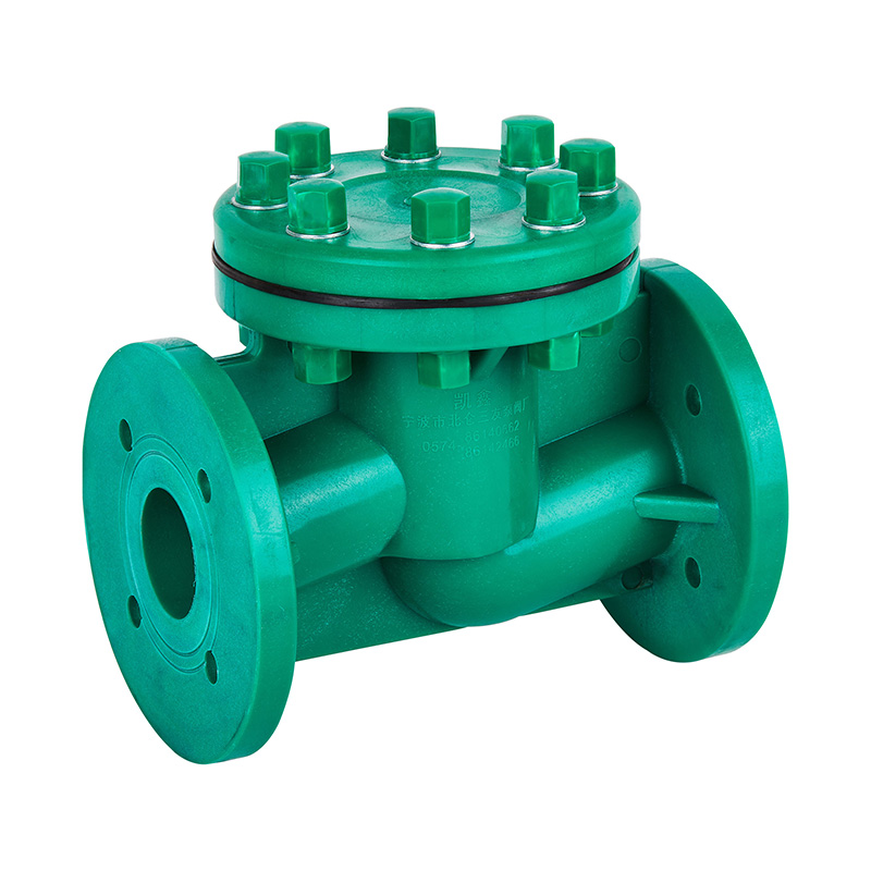 FRPP H41F-10S Life Type Check Valve DN40-80 GB Standard