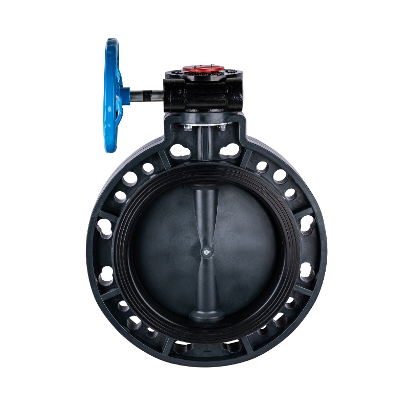 FRPP D371X-10S Worm-Gear Butterfly Valve DN32-1000 GB Standard