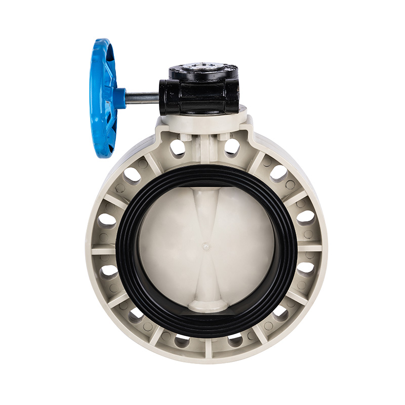 PPH D371X-10S Worm-Gear Butterfly Valve DN40-1000 1-1/2'-30' ANSI Standard