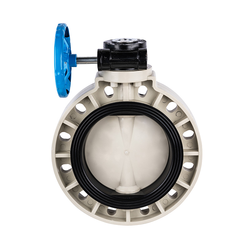 PPH D371X-10S Worm-Gear Butterfly Valve DN40-1000 40A-1000A JIS Standard