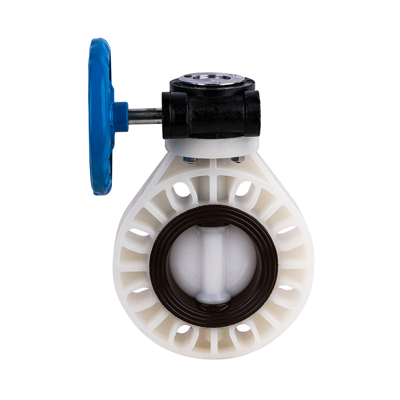 PVDF D371X-10F Worm-Gear Butterfly Valve DN40-1000 40A-1000A JIS Standard