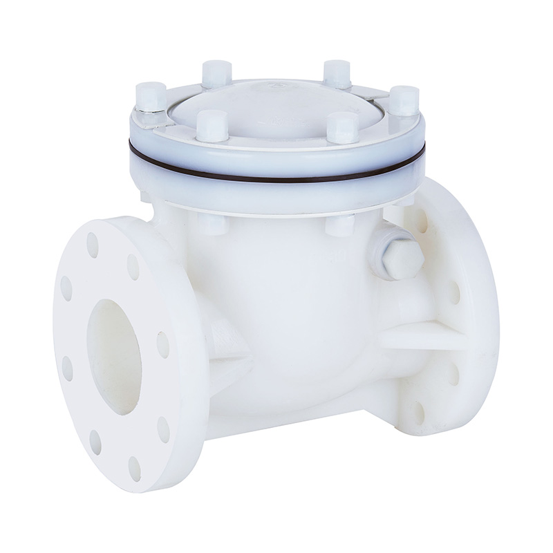 PVDF H44F-10F Swing Type Check Valve DN15-300 1/2'-12' ANSI Standard