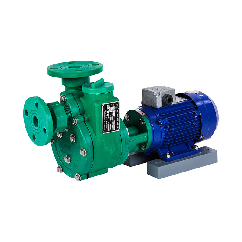 FPZ Direct-Coupled Self-Priming Pump GB Standard